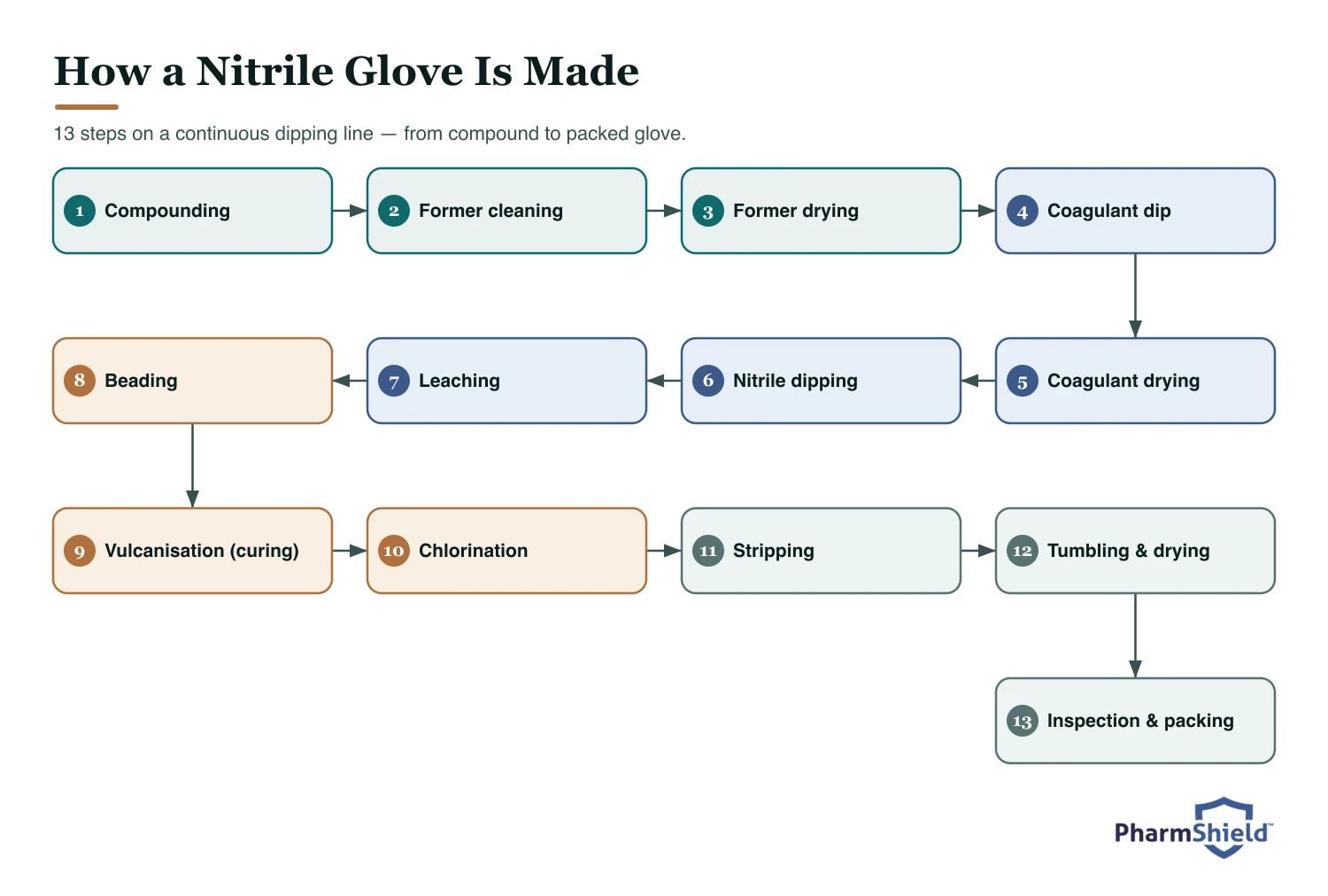 Flowchart of the 13-step nitrile glove manufacturing process, from compounding to inspection and packing